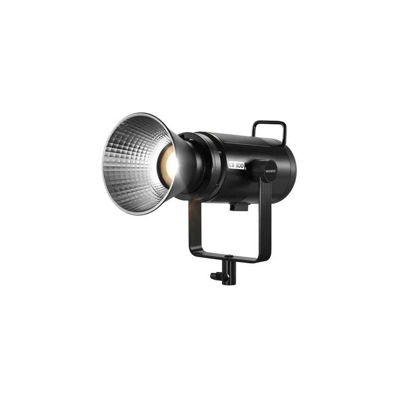 Neewer CB300B BiColor LED Light